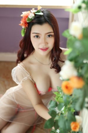 你的婚礼2